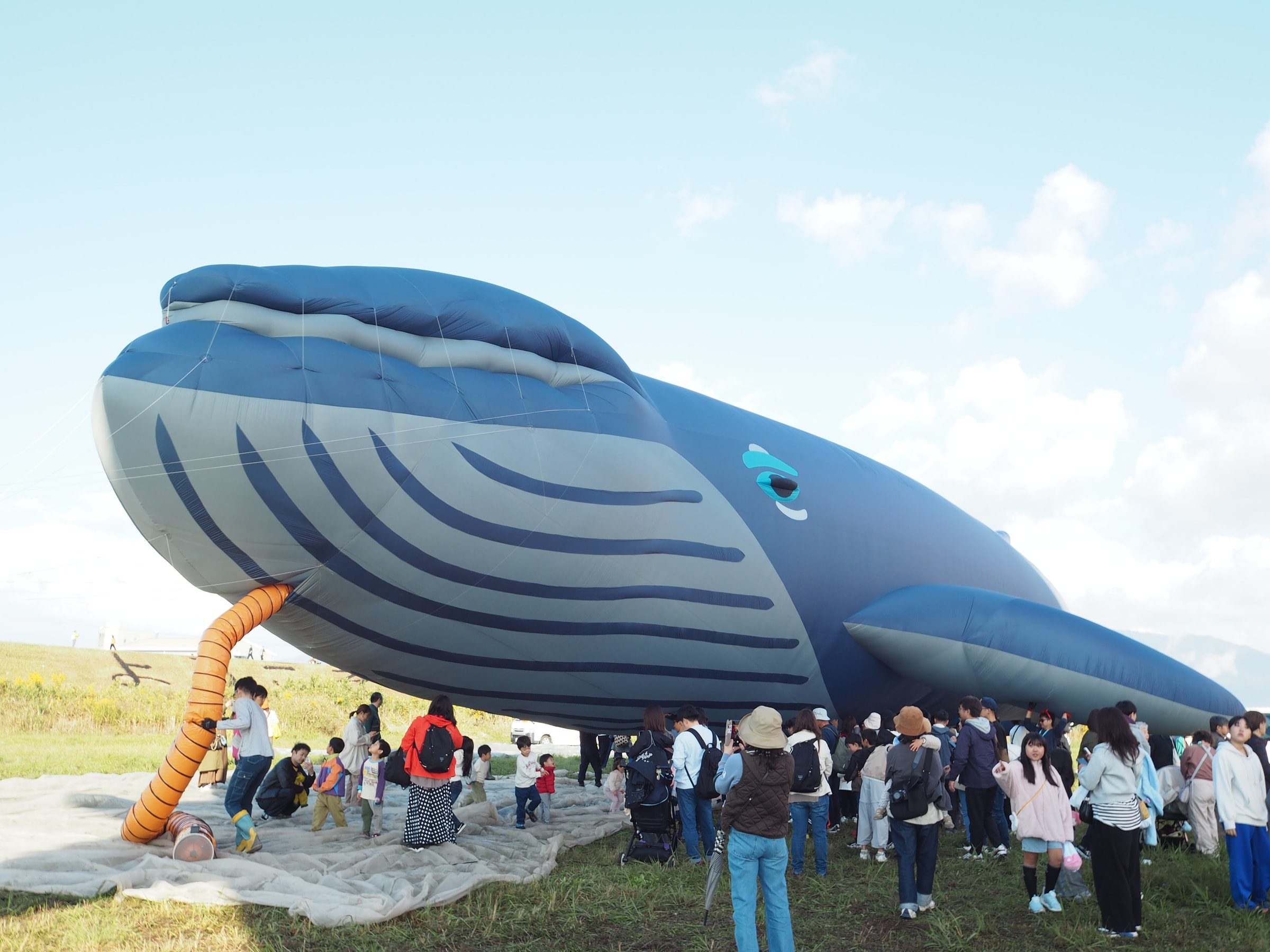 2025年 バルーンフェスタ