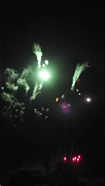 息をのむ美しさ…夜空のキャンバスに描かれる花火🎇 #fireworks #絶景 #日本の夏 (2/7)の動画サムネイル