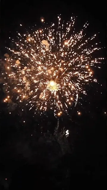 これが日本の花火の真髄！色とりどりの輝きに感動🎆 #JAPAN #花火師 #職人技 (4/7)の動画サムネイル